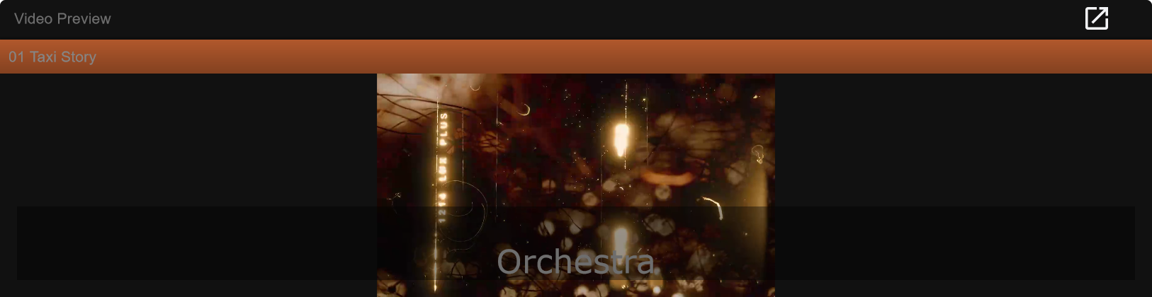 Video preview